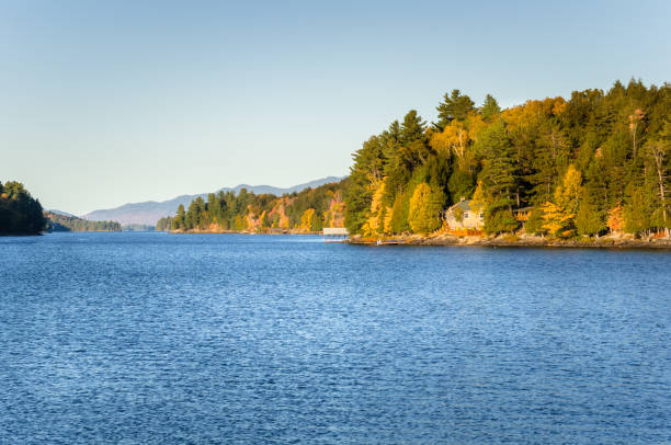 istock Mountain Lake Surrounded by Thick Forest in Autumn 648215380