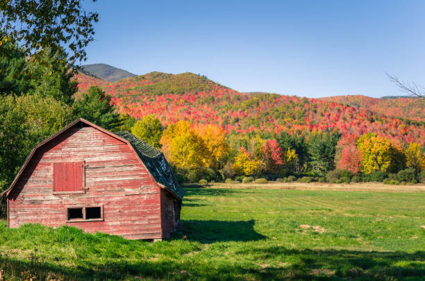 istock Red Barn in a Mountain Landscape at Fall Foliage Peak 648215478