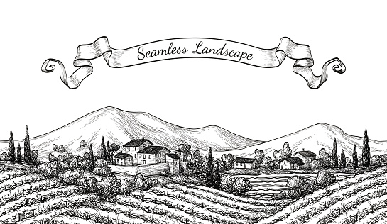 Vineyard seamless landscape. Vine sketch isolated on white. Hand drawn vector illustration.