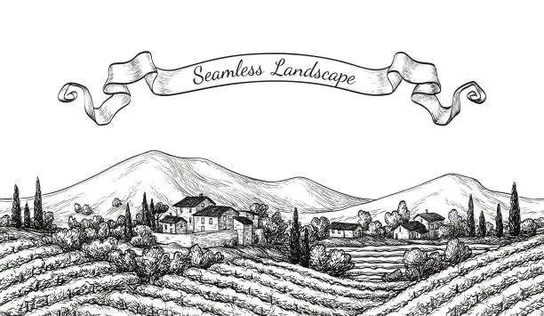 Vector illustration of Vineyard seamless landscape. Vine sketch isolated on white. Hand drawn vector illustration.