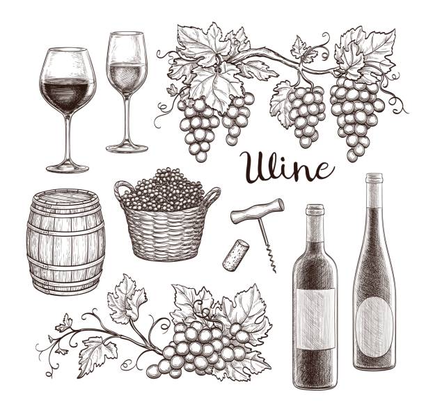 ilustrações de stock, clip art, desenhos animados e ícones de wine set isolated on white background. hand drawn vector illustration. vintage style. - wine bottle illustrations