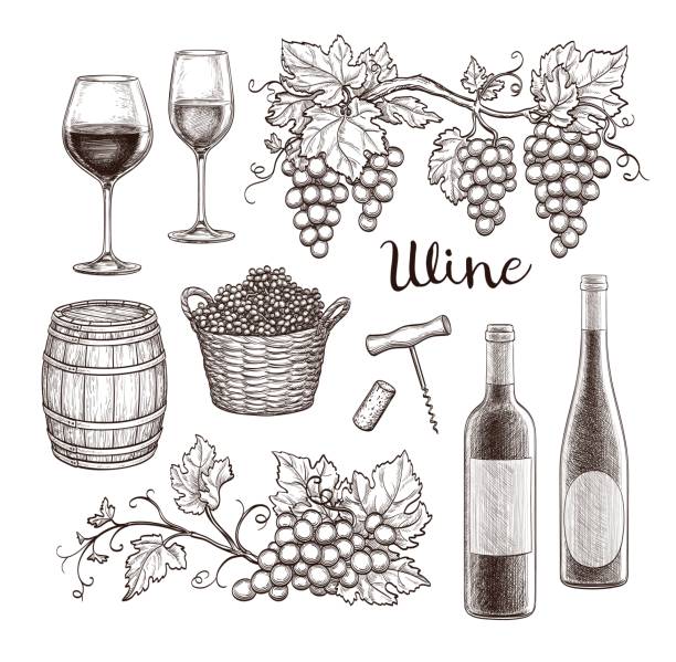 винный набор изолирован на белом фоне. нарисованная вручную векторная иллюстрация. винтажный стиль. - wine cork white wine grape stock illustrations