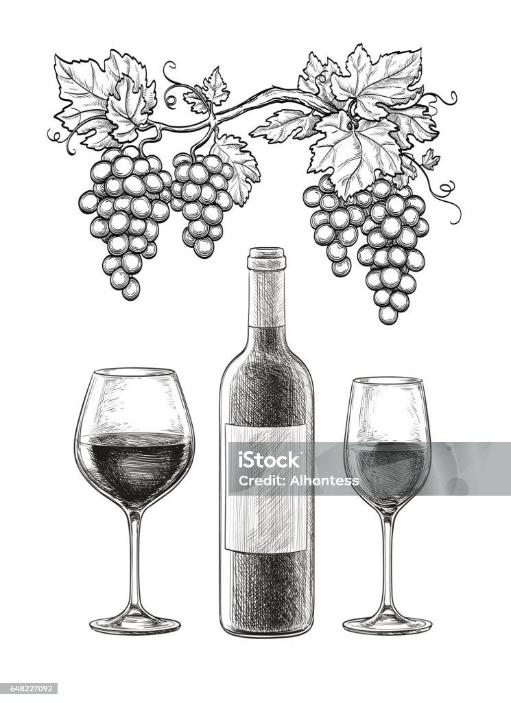 Vin Nature morte  - clipart vectoriel de Bouteille de vin libre de droits