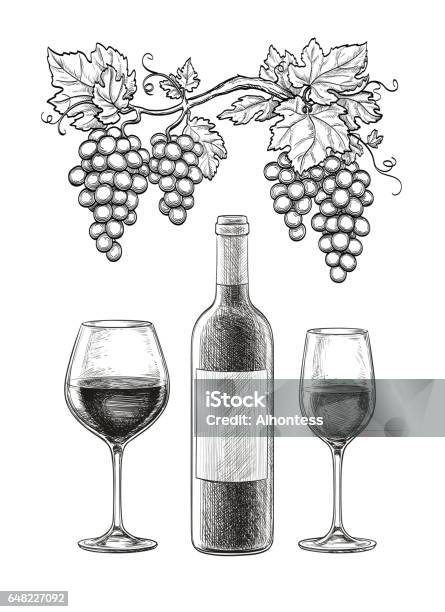 Vin Nature Morte Vecteurs libres de droits et plus d'images vectorielles de Bouteille de vin - Bouteille de vin, Croquis, Vin