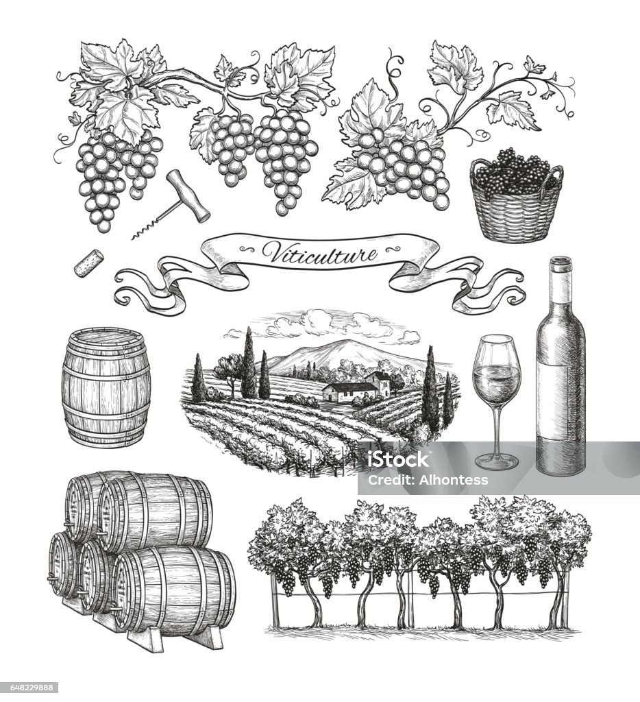 Grand ensemble de viticulture. - clipart vectoriel de Vin libre de droits