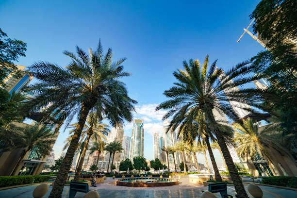 Dubai Marina Urban Skyline