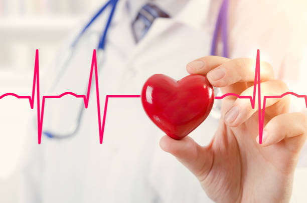 istock Cardiologist holding heart 3D model. Concept with cardiogram 648242468
