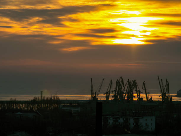 istock Port with cranes in the early morning 648256016