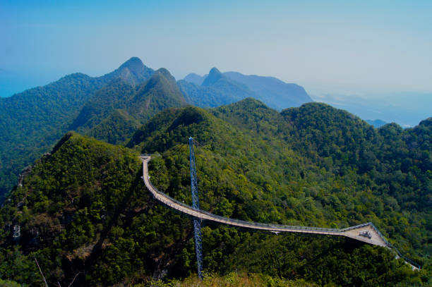 langkawi passerelle vue panoramique - tropical rainforest elevated walkway pulau langkawi malaysia photos et images de collection