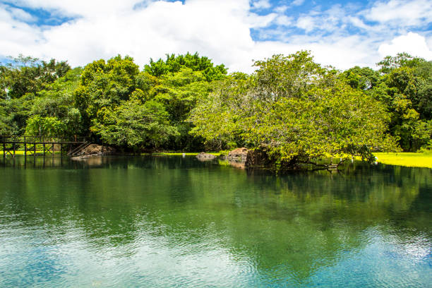 istock Lagoa Santa, Brazil 648284642