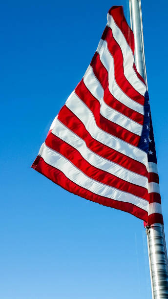 istock Flag - American Flag in Wind 648284658