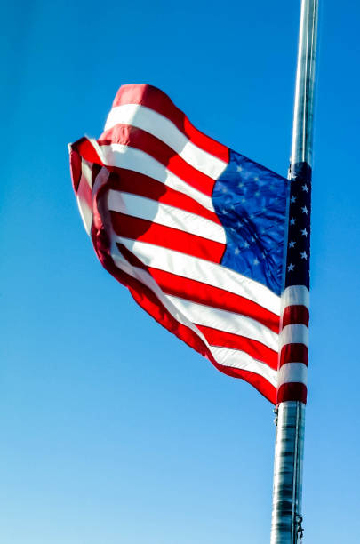 istock Flag - American Flag in Wind 648284660