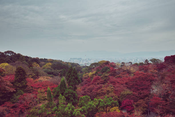 istock Autumn at Kiyomizu-dera temple 648307750