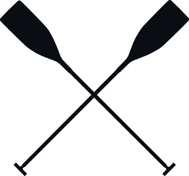 real sports paddles real sports paddles for canoeing. black silhouette criss cross oar stock illustrations