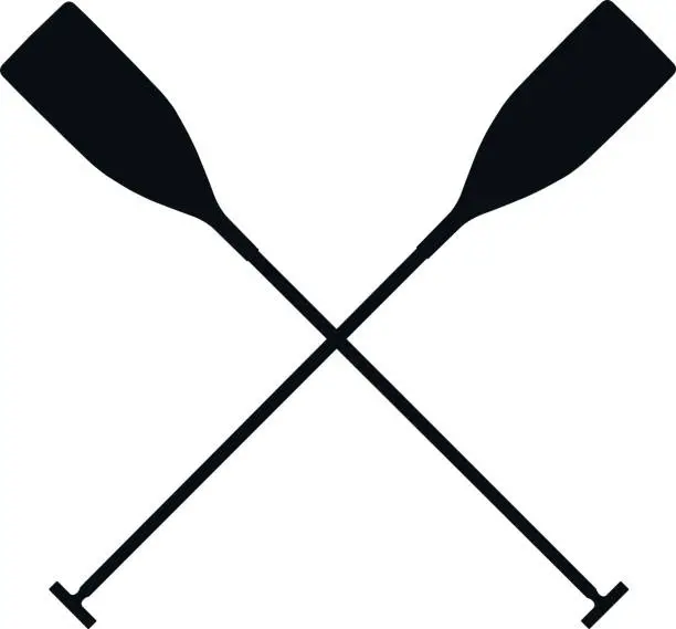 Vector illustration of real sports paddles