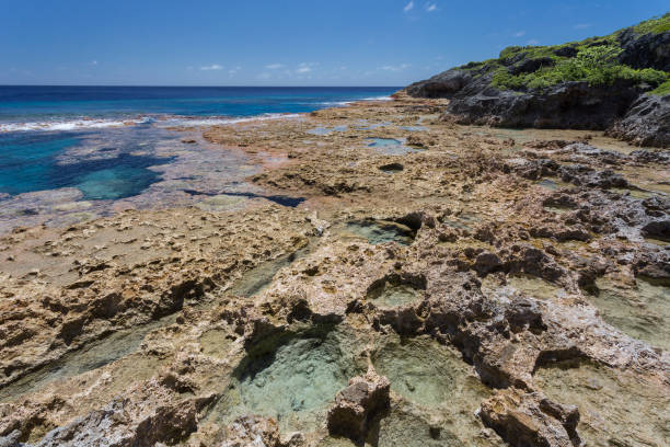 istock Tidal pools and reef flats, Niue coastline, Pacific Islands 648319528