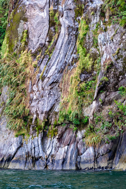 istock Hanging Garden 1 - Milford Sound 648323088