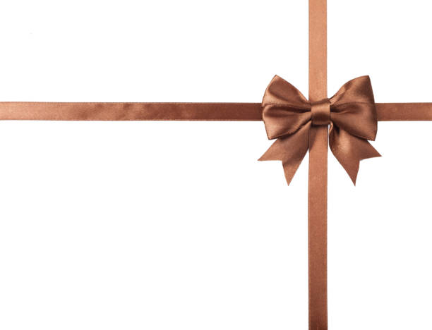 istock Brown bow and ribbon isolated on white background. 648323446