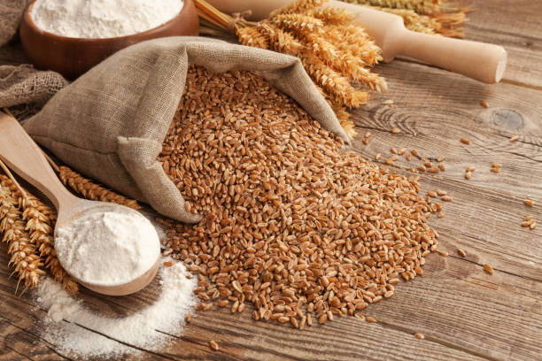 istock flour and wheat in bags on the table. 648323484