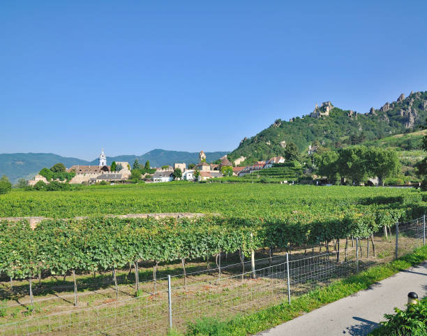 istock Duernstein,Wachau,Danube Valley,Austria 648330296