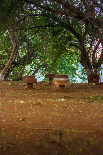 Sitting benches at powai Garden