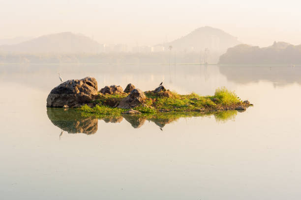 Reflection of a stone at Powai Lake