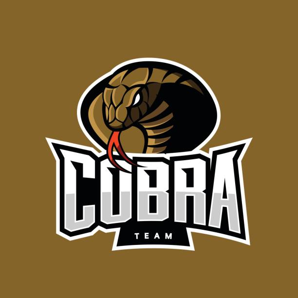 разъяренная кобра спортивный вектор логотип концепции изолированы на фоне хаки. военная профессиональная команда эмблема дизайн. - cobra stock illustrations