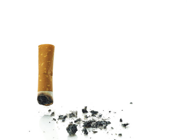 Stock photos of cigarette butts Health is bad,
Picture to stop smoking. It was photographed by a medium-format camera in detail with cigarette butts and ashes with a macro lens in a white background studio. 欲望 stock pictures, royalty-free photos & images