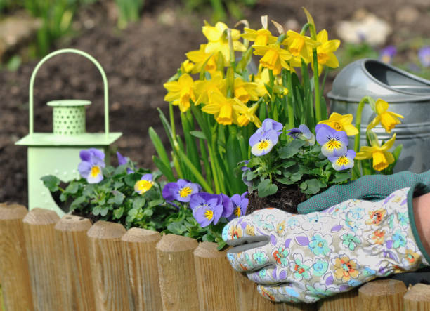 istock planting flowers in spring 648354720