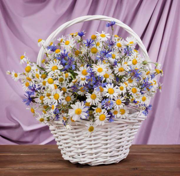 istock A bouquet of chamomiles on the table. spring still life 648355988
