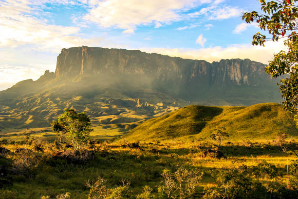 istock Kukenan Tepui, Venezuela 648362312