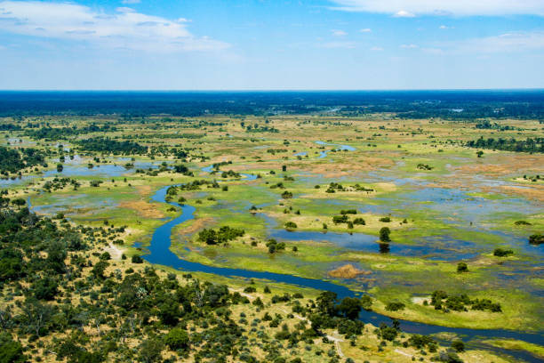The Okavango Delta, Botswana The Okavango Delta in Botswana is a very large, swampy inland delta formed where the Okavango River reaches a tectonic trough in the central part of the endorheic basin of the Kalahari. botswana stock pictures, royalty-free photos & images