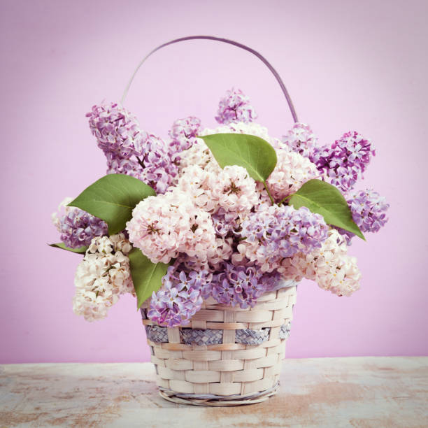 istock Lilac in vase. Vintage retro hipster style version 648366240