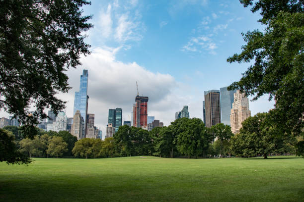istock New York skyline seen from Central Park in Manhattan 648366434