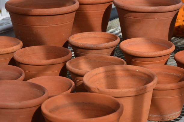 istock Terracotta garden plant pots. 648366842