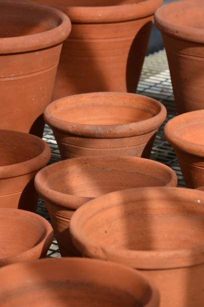 istock Terracotta garden plant pots. 648366846