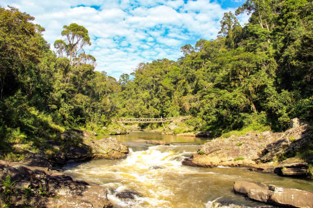 istock Ranomafana National Park, Madagascar 648369172