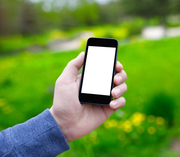 istock male hand holding a phone with isolated screen 648377174
