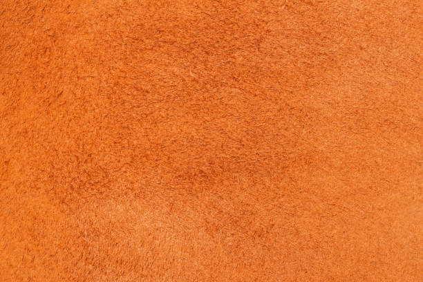 istock Texture of wrong side genuine leather close-up, cowhide, orange. For natural, artisan backgrounds, substrate composition use, vintage design 648377342