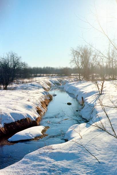 istock Creek in the morning sun 648388420