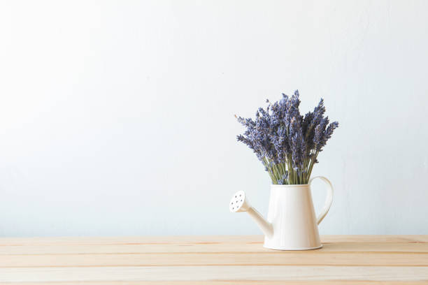 istock Indoor plant on wooden table and white wall 648388624
