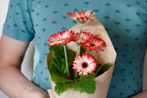 Young man holding flower pot with red gerbera daisies