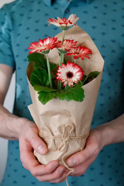 istock Young man holding flower pot with red gerbera daisies 648390086