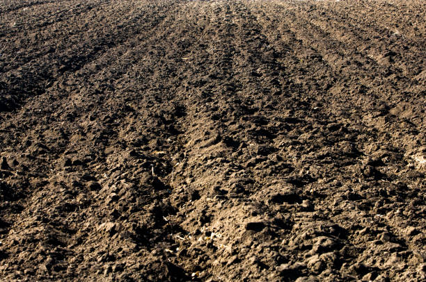 istock Ploughland, plowed soil in agricultural field 648390776