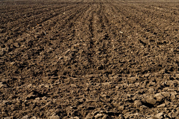 istock Ploughland, plowed soil in agricultural field 648390852