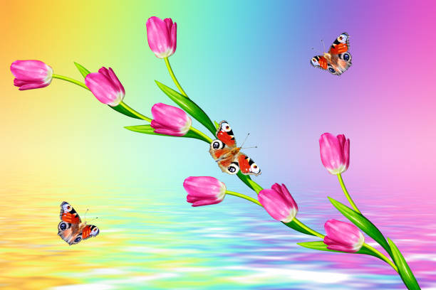 istock Bright and colorful flowers tulips 648397148