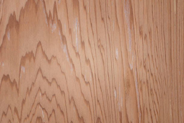 istock Wooden backgound and textured, Beautiful wooden surface with tree ring 648397404