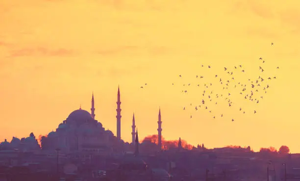 Istanbul cityscape - panoramic view of Suleymaniye Mosque with flock of birds. Traditional arabic town with silhouettes of minarets on sunset, ancient landmarks of muslim architecture in Turkey.