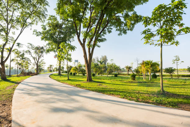 istock Landscape with jogging track at green park 648408702