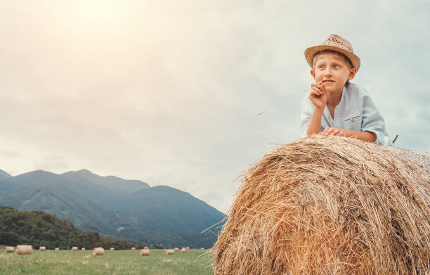 istock Boy in sraw hat lying on hay roll 648411660